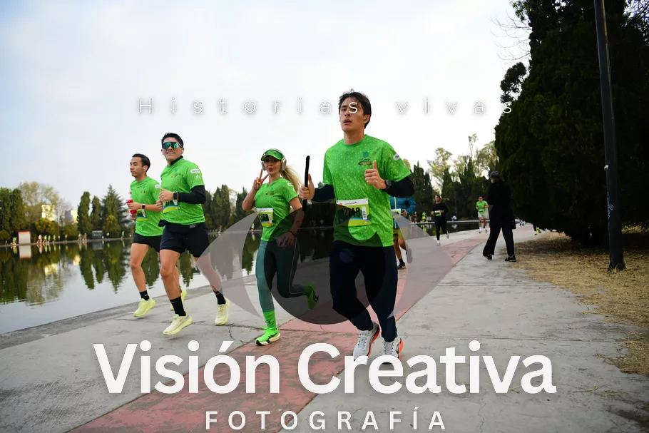 Foto del evento Shrek - CDMX 2026