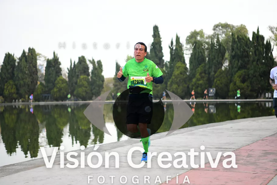 Foto del evento Shrek - CDMX 2026