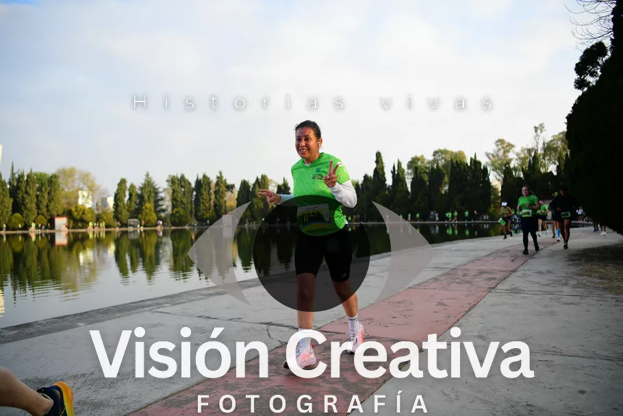 Foto del evento Shrek - CDMX 2026