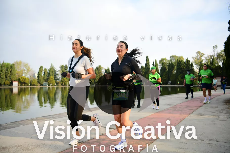 Foto del evento Shrek - CDMX 2026
