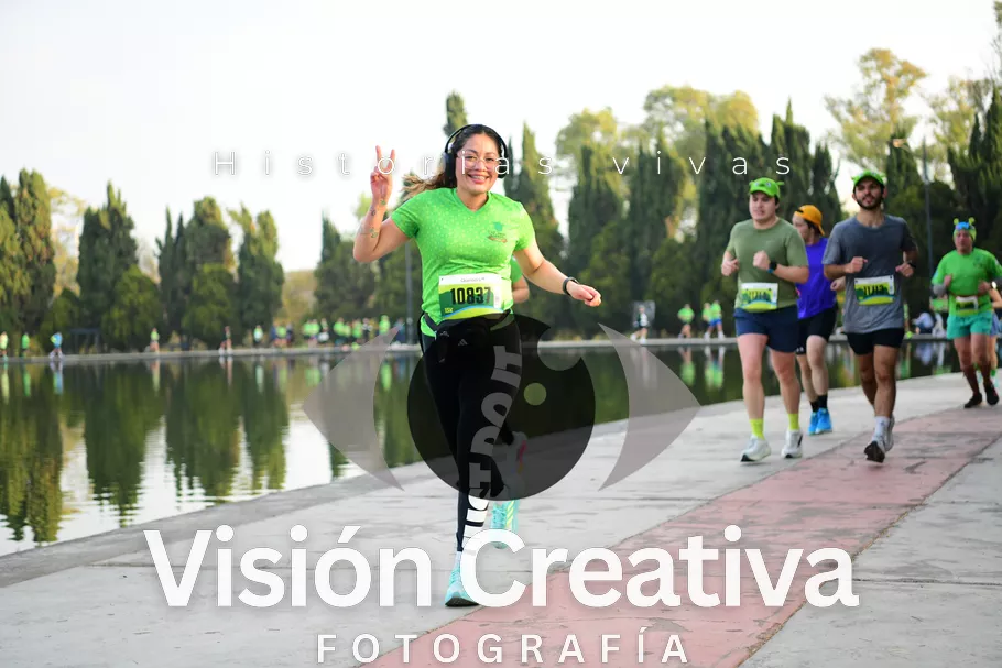 Foto del evento Shrek - CDMX 2026