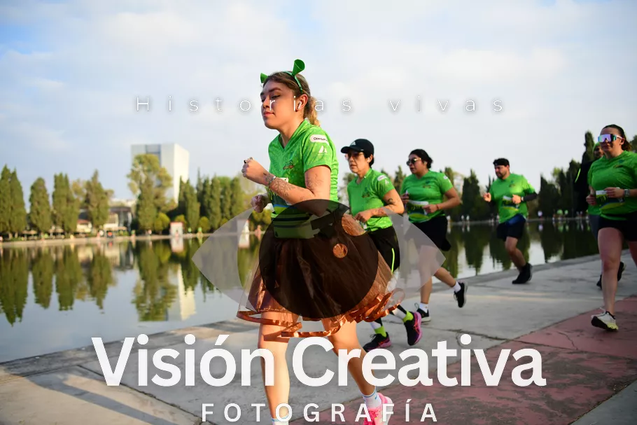 Foto del evento Shrek - CDMX 2026