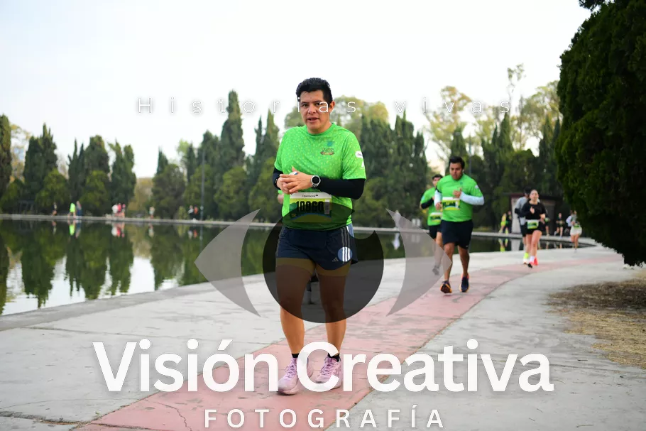 Foto del evento Shrek - CDMX 2026