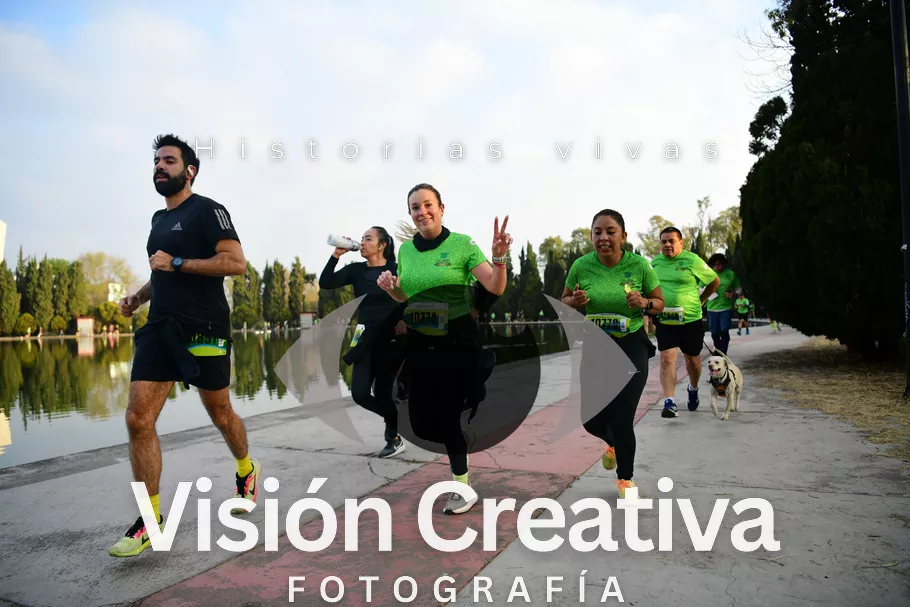Foto del evento Shrek - CDMX 2026