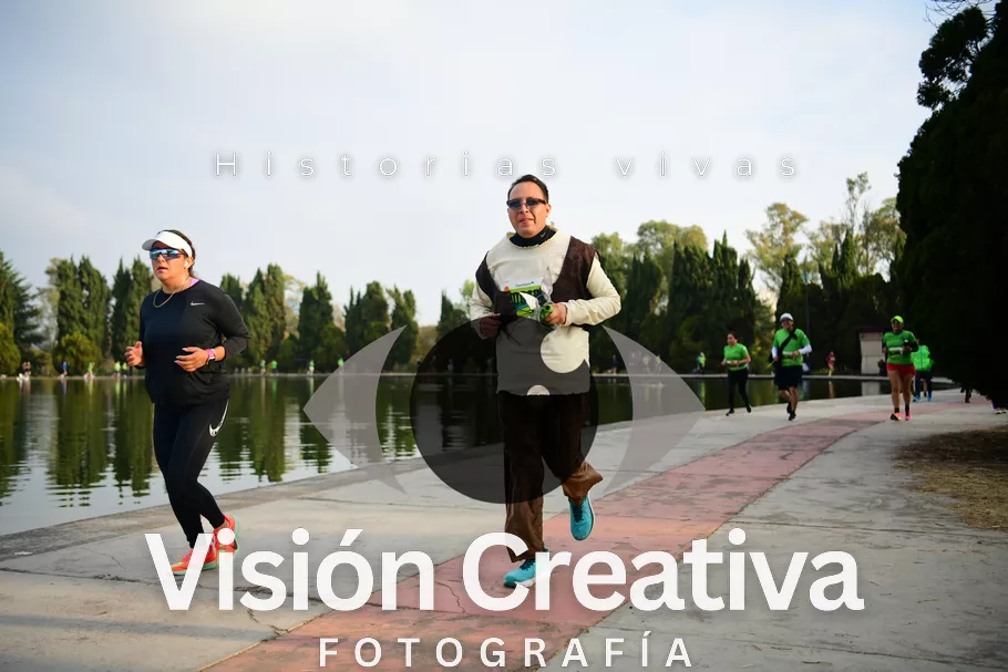 Foto del evento Shrek - CDMX 2026