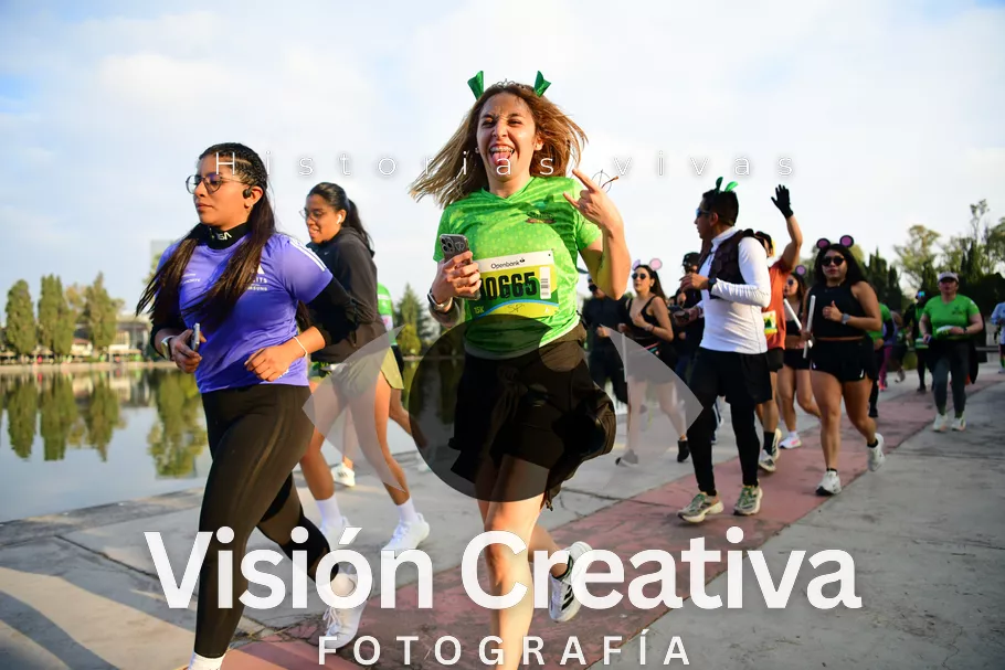 Foto del evento Shrek - CDMX 2026