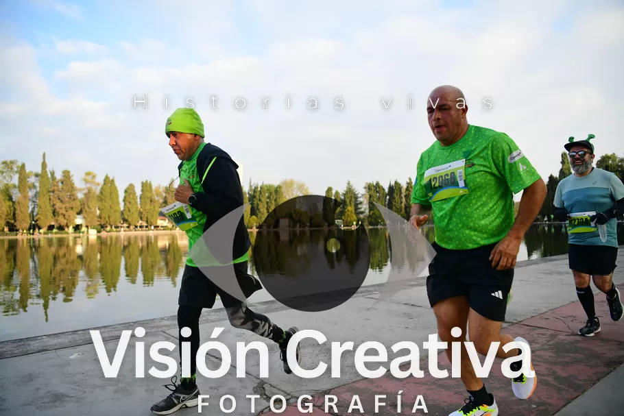 Foto del evento Shrek - CDMX 2026