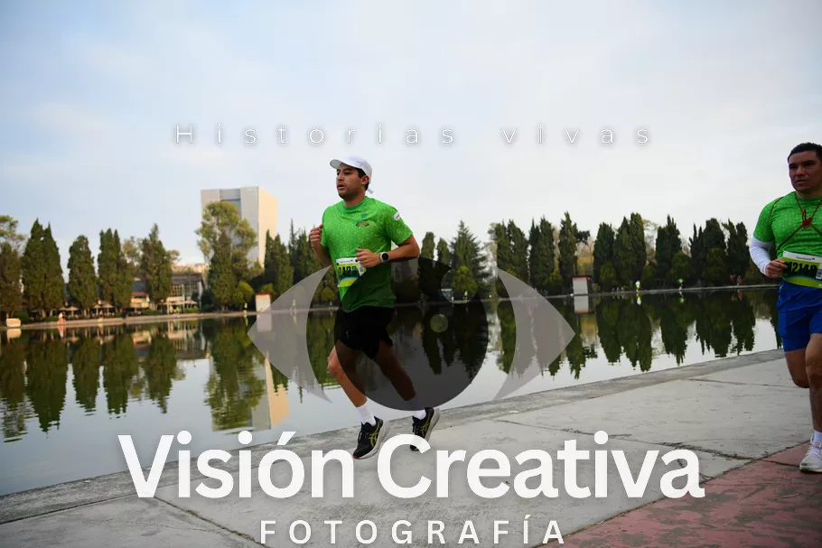 Foto del evento Shrek - CDMX 2026