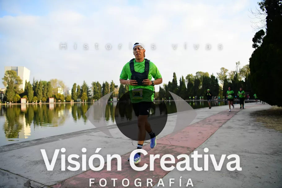 Foto del evento Shrek - CDMX 2026