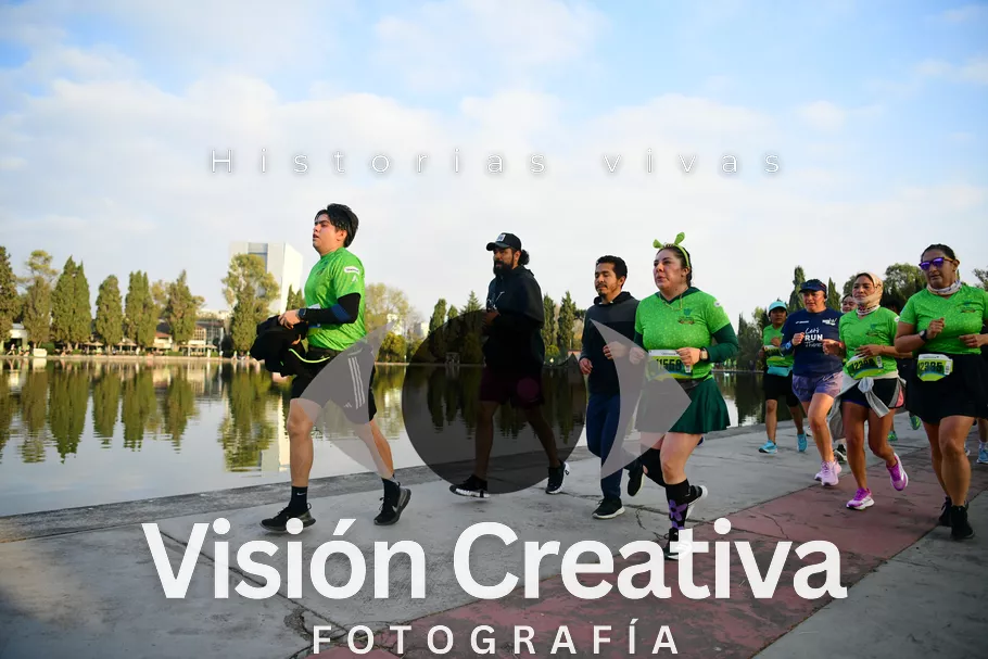 Foto del evento Shrek - CDMX 2026