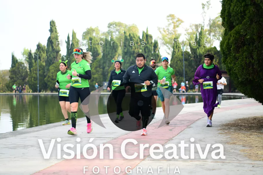 Foto del evento Shrek - CDMX 2026