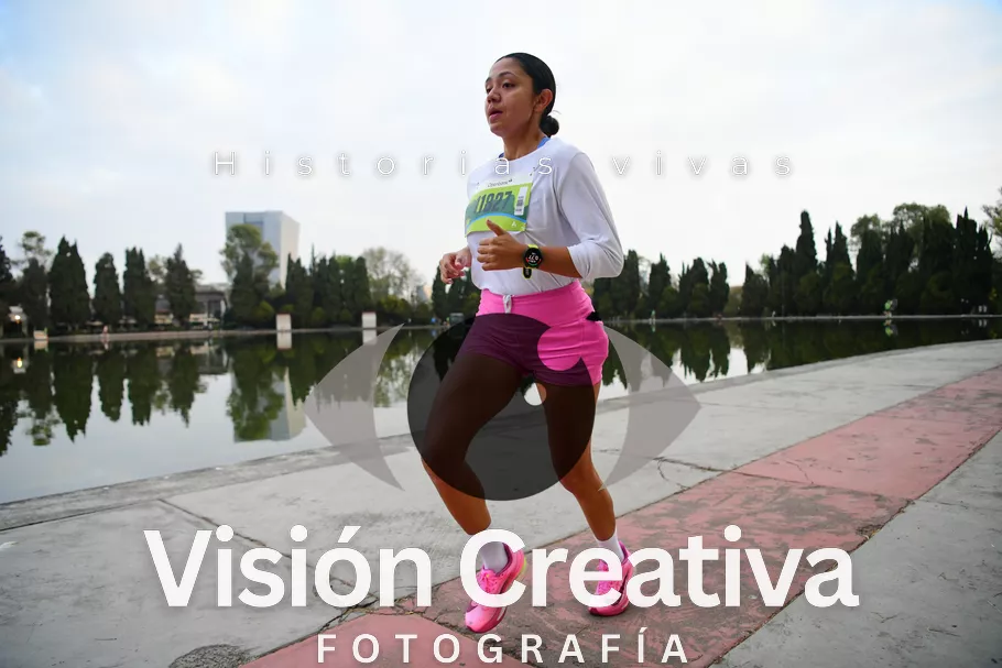 Foto del evento Shrek - CDMX 2026