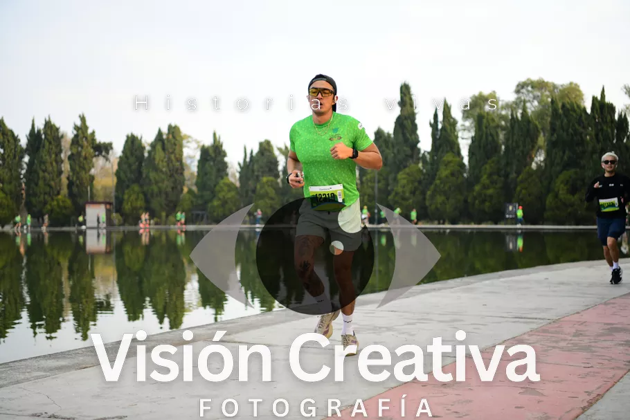 Foto del evento Shrek - CDMX 2026