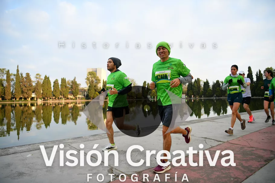 Foto del evento Shrek - CDMX 2026
