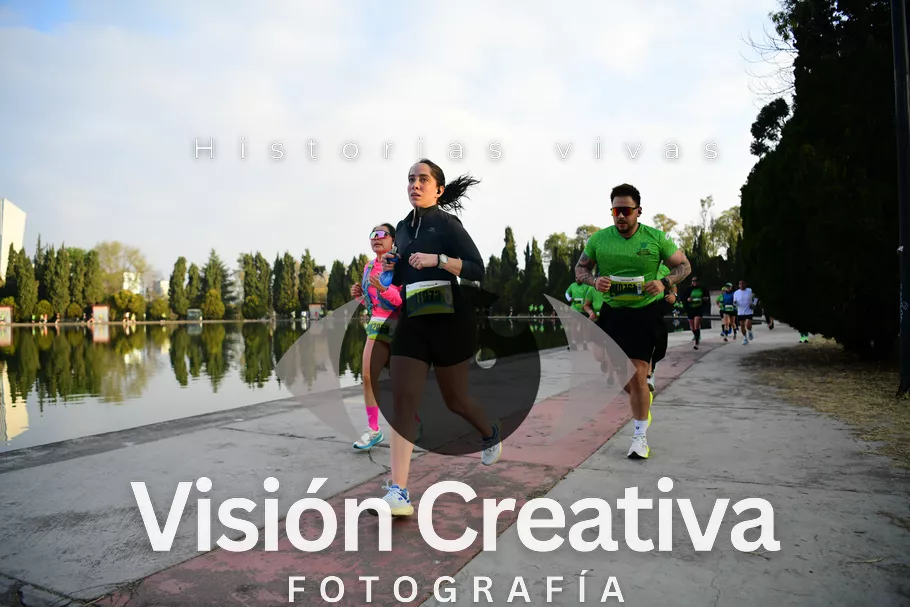 Foto del evento Shrek - CDMX 2026
