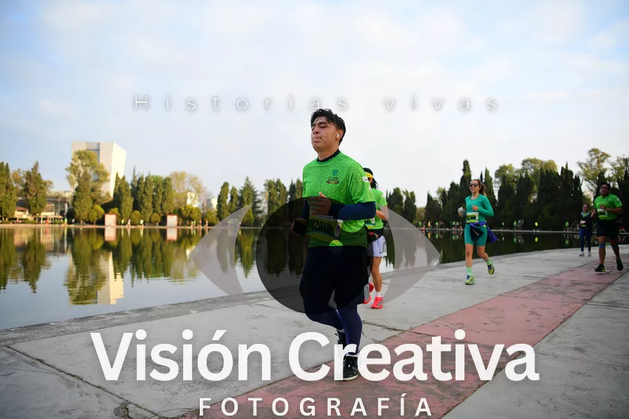 Foto del evento Shrek - CDMX 2026