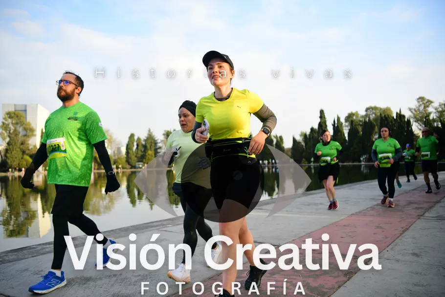 Foto del evento Shrek - CDMX 2026