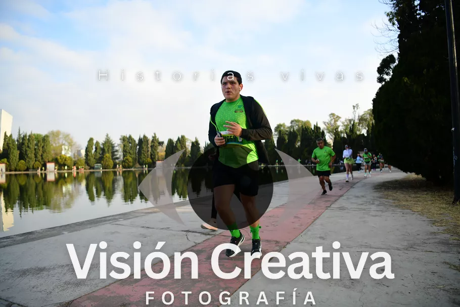 Foto del evento Shrek - CDMX 2026