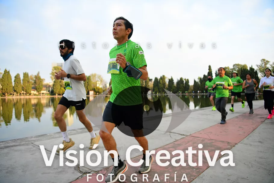 Foto del evento Shrek - CDMX 2026