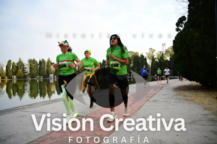 Foto del evento Shrek - CDMX 2026