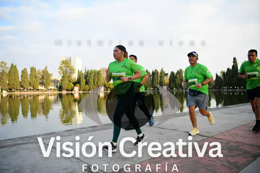 Foto del evento Shrek - CDMX 2026