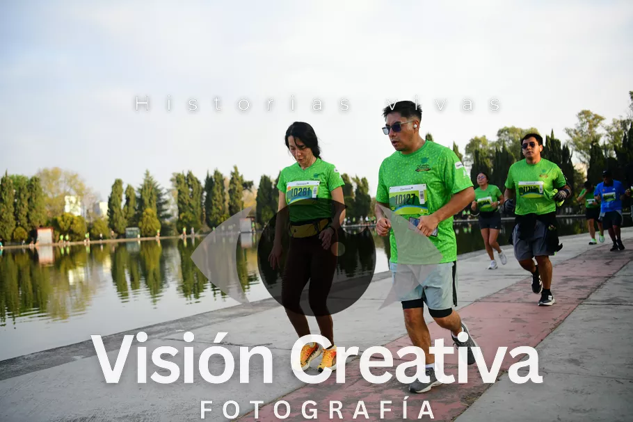 Foto del evento Shrek - CDMX 2026