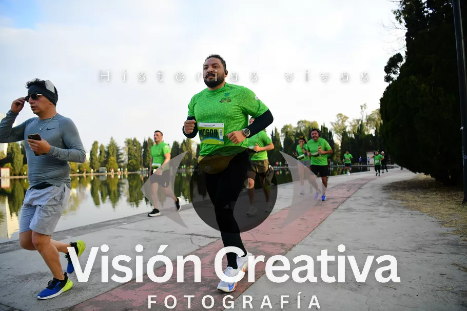Foto del evento Shrek - CDMX 2026