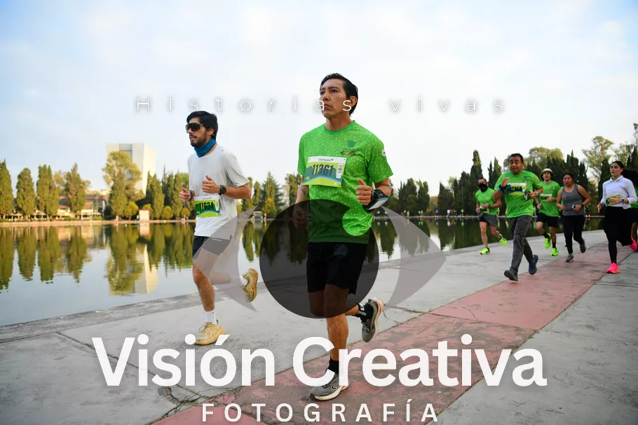 Foto del evento Shrek - CDMX 2026