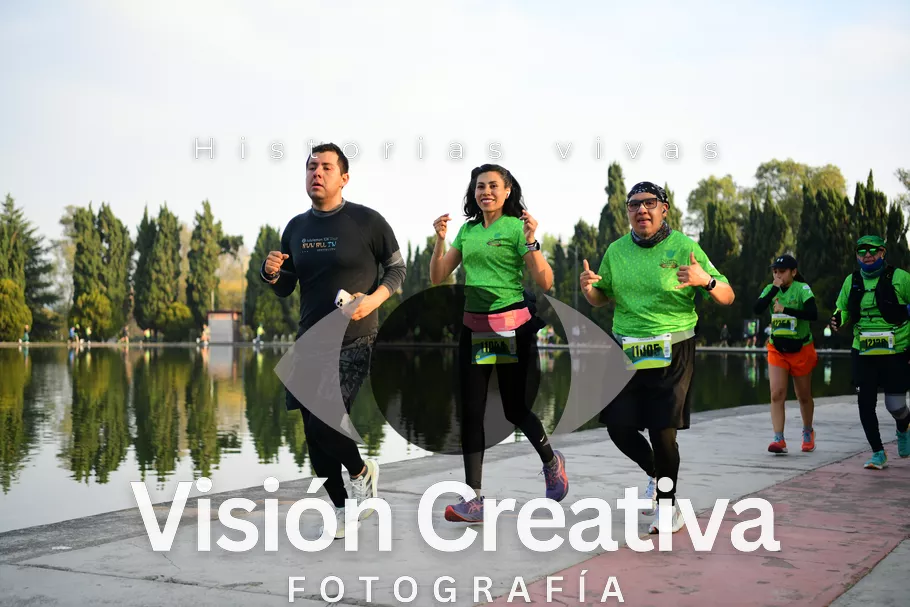 Foto del evento Shrek - CDMX 2026
