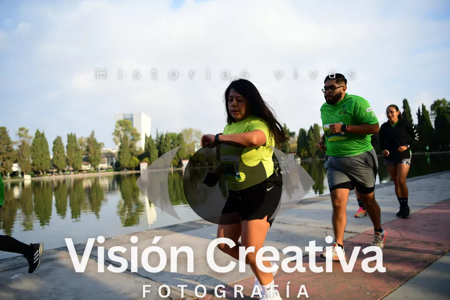 Foto del evento Shrek - CDMX 2026