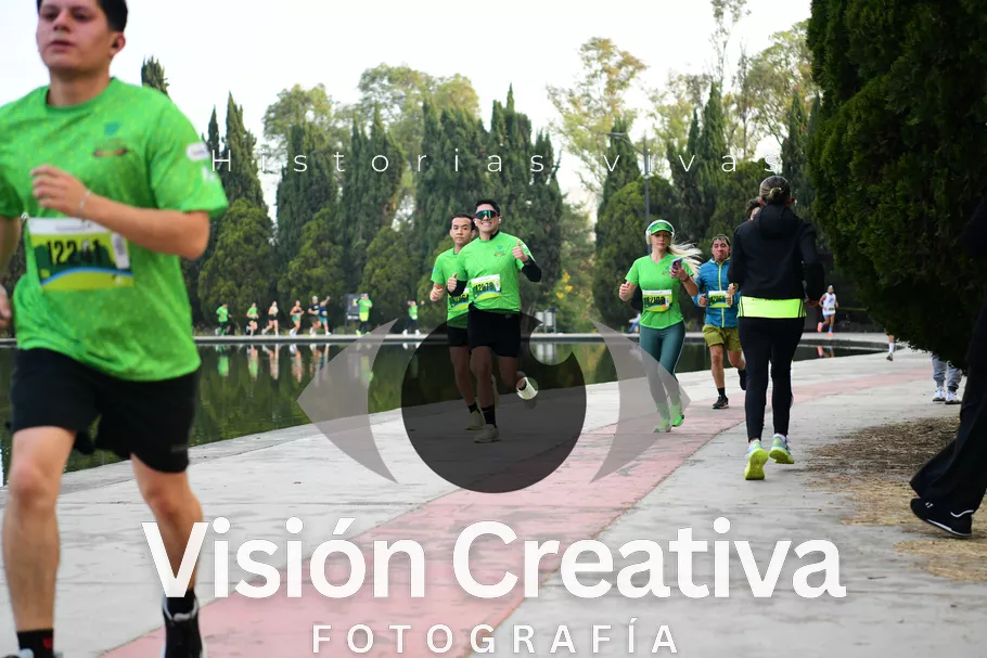 Foto del evento Shrek - CDMX 2026