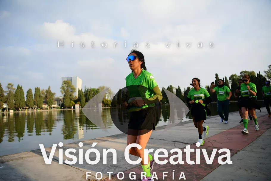 Foto del evento Shrek - CDMX 2026