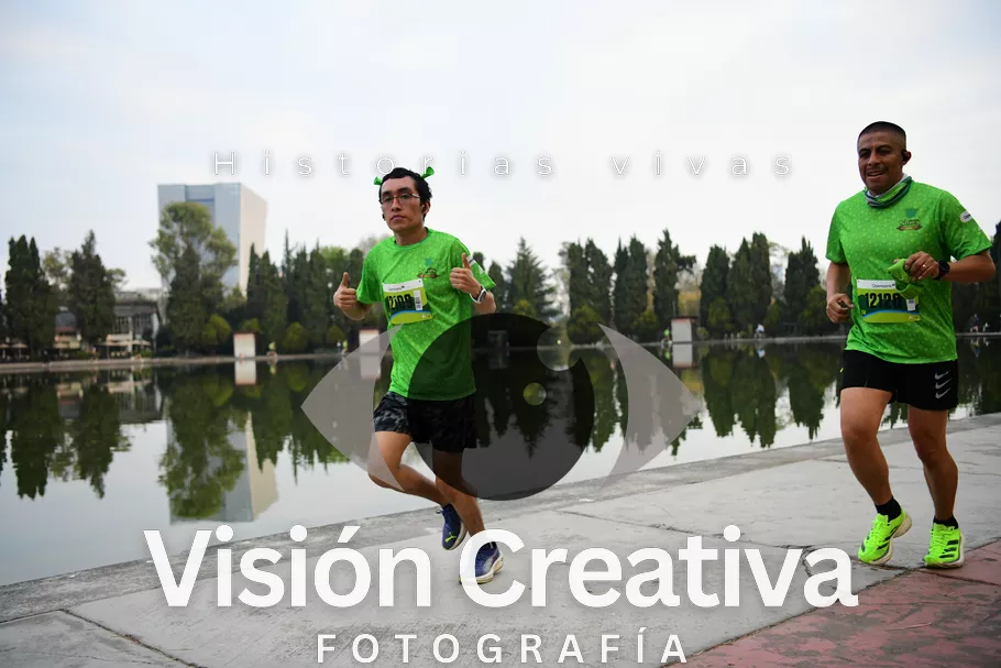 Foto del evento Shrek - CDMX 2026
