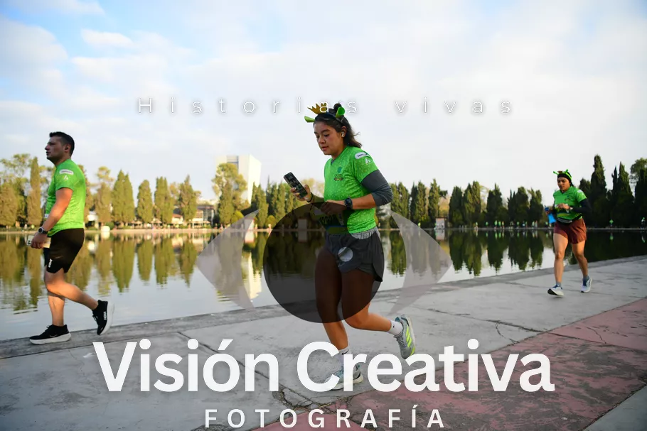 Foto del evento Shrek - CDMX 2026