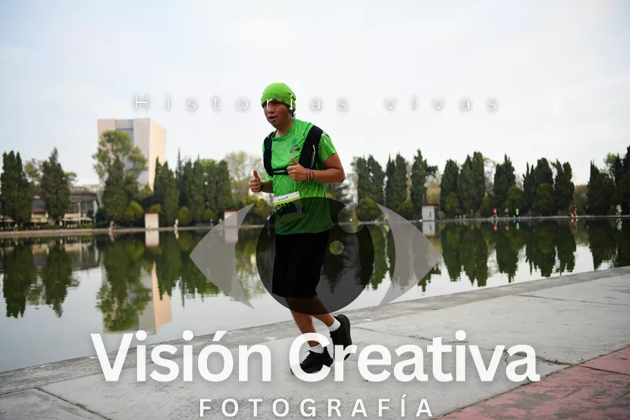 Foto del evento Shrek - CDMX 2026
