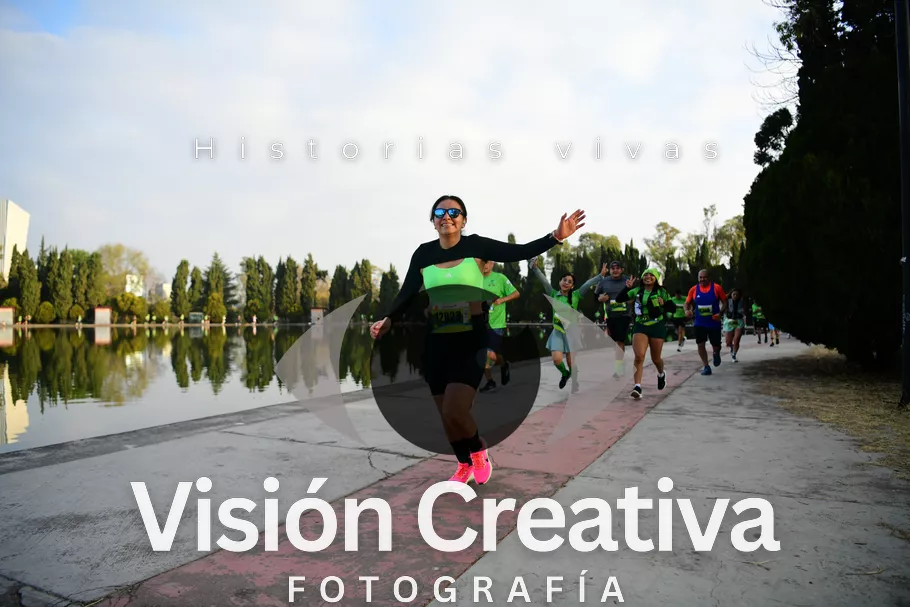 Foto del evento Shrek - CDMX 2026