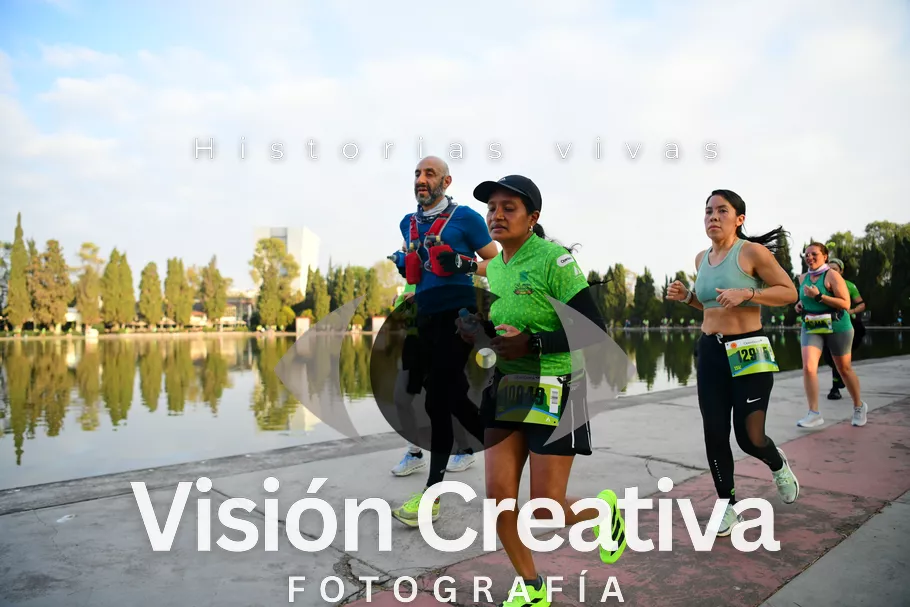 Foto del evento Shrek - CDMX 2026
