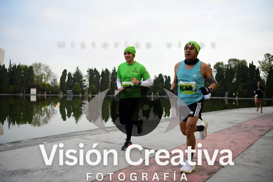 Foto del evento Shrek - CDMX 2026