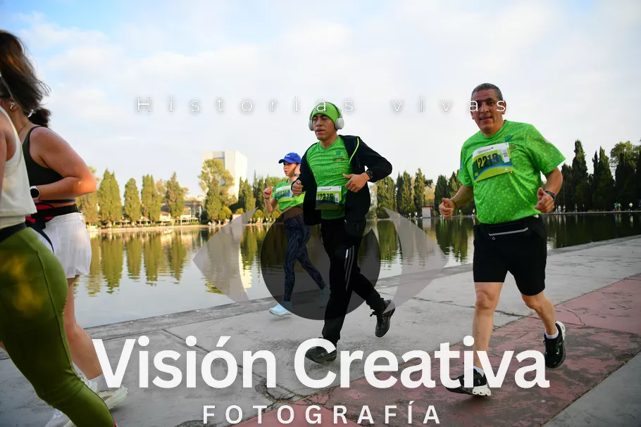 Foto del evento Shrek - CDMX 2026