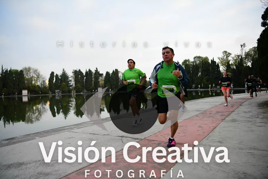 Foto del evento Shrek - CDMX 2026
