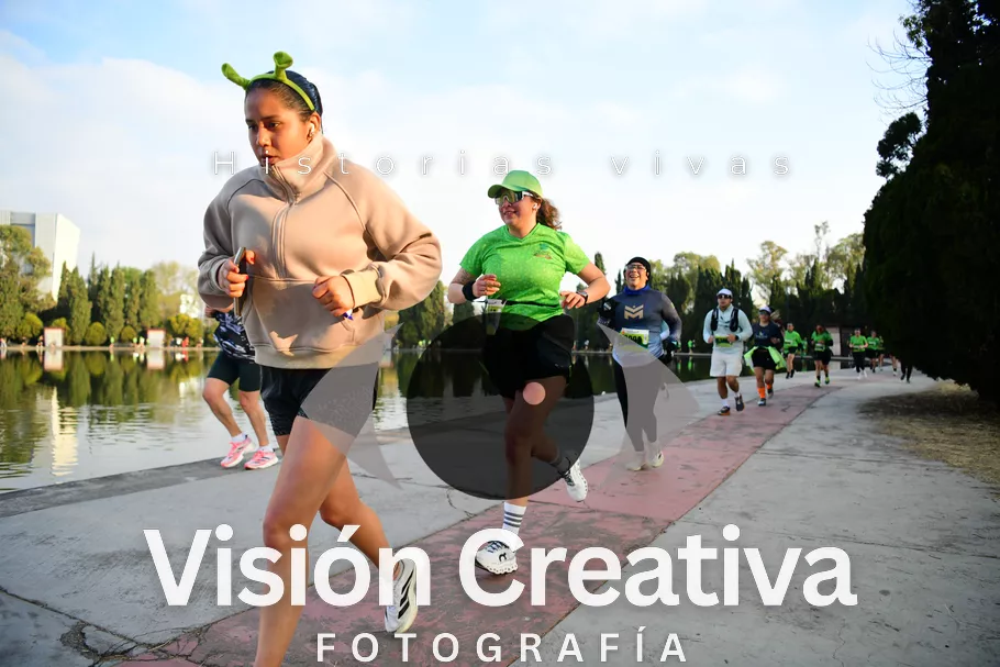 Foto del evento Shrek - CDMX 2026