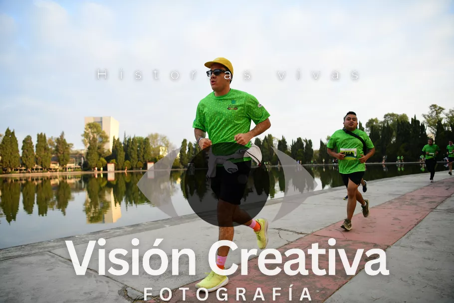 Foto del evento Shrek - CDMX 2026