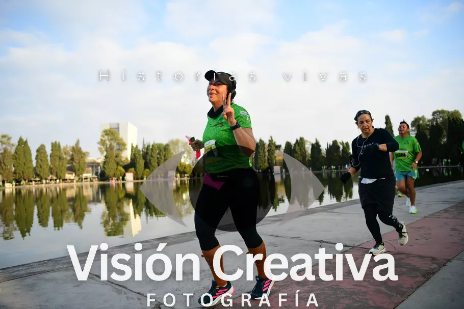 Foto del evento Shrek - CDMX 2026