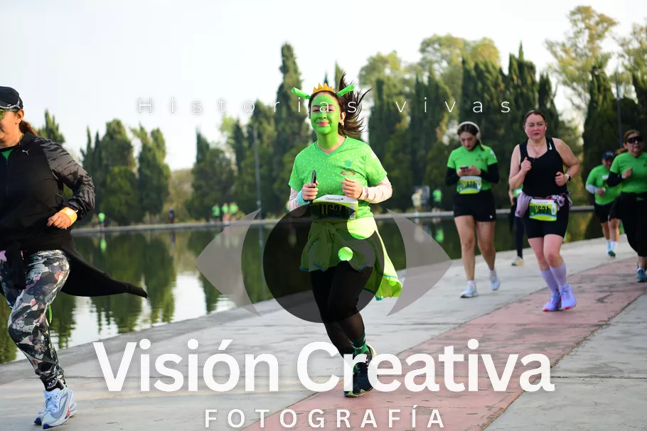 Foto del evento Shrek - CDMX 2026
