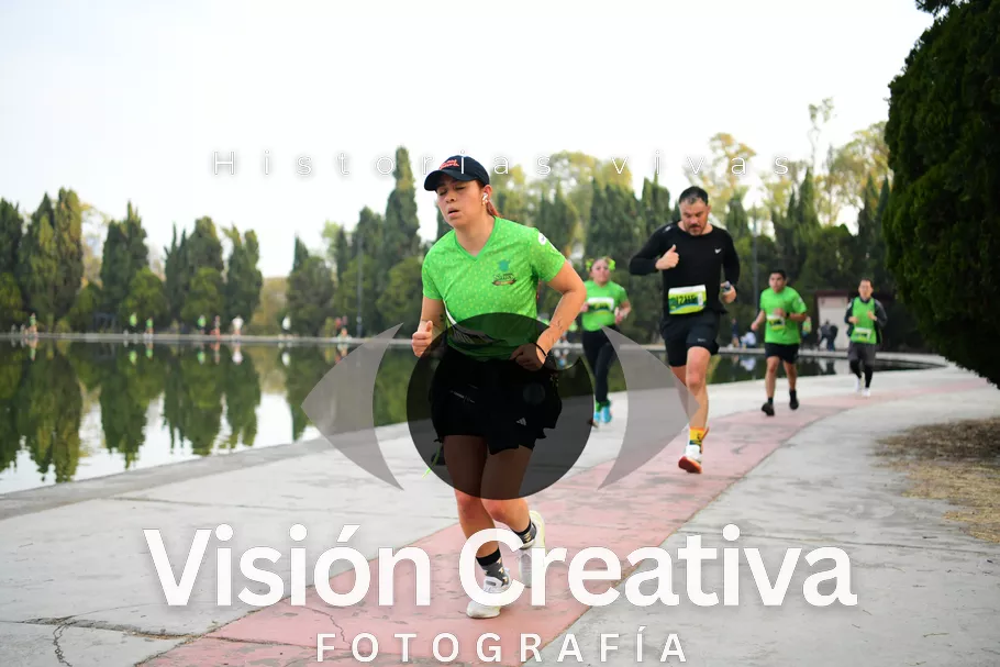 Foto del evento Shrek - CDMX 2026