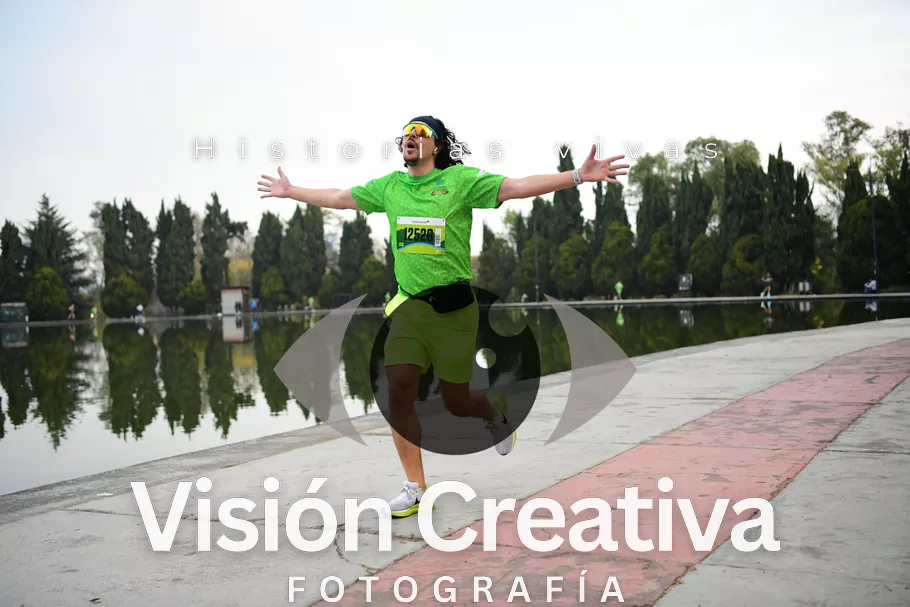 Foto del evento Shrek - CDMX 2026