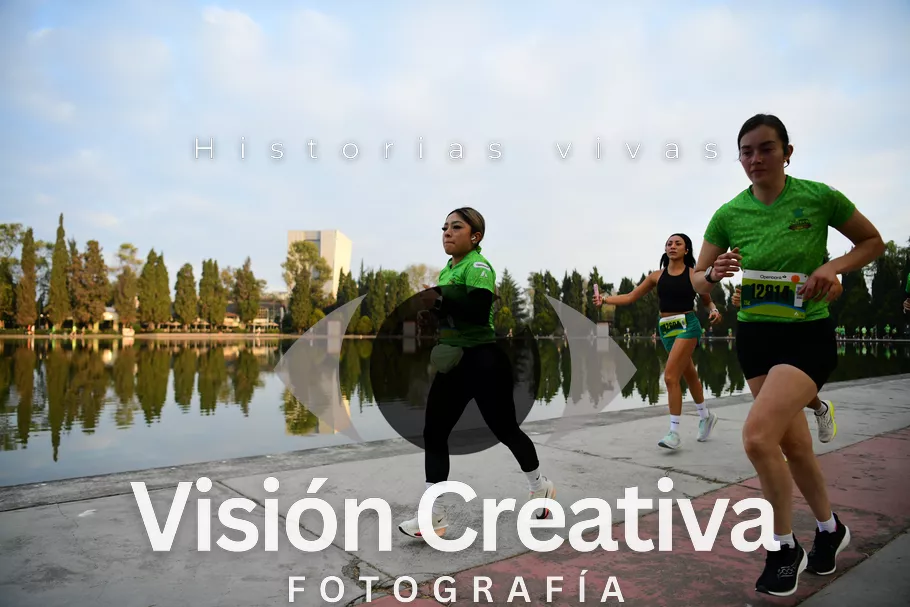 Foto del evento Shrek - CDMX 2026