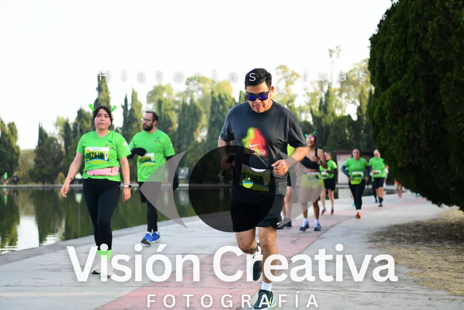 Foto del evento Shrek - CDMX 2026