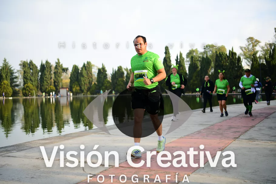 Foto del evento Shrek - CDMX 2026