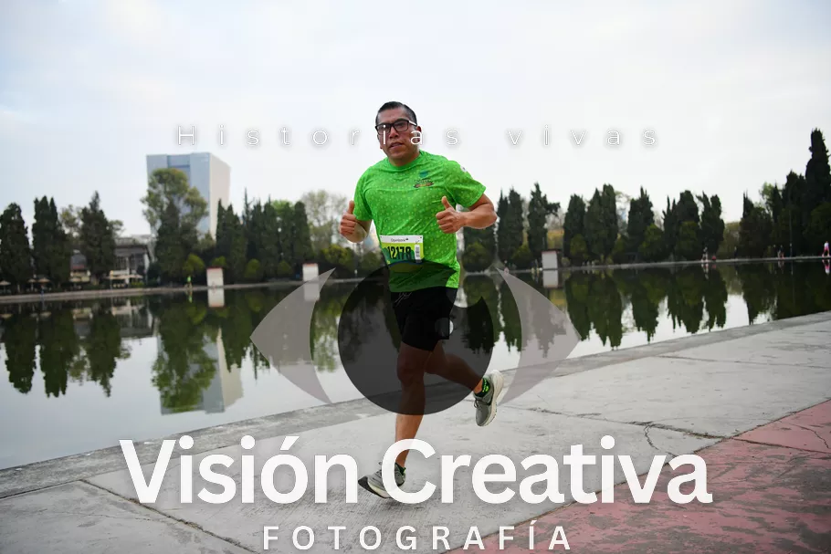 Foto del evento Shrek - CDMX 2026